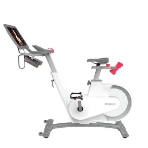 Купить Велотренажер Yesoul BV1-W PLUS в Ворсме 